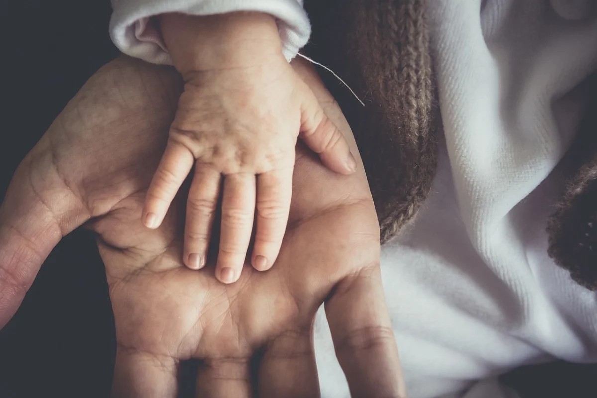 Nuevo Complemento por Paternidad