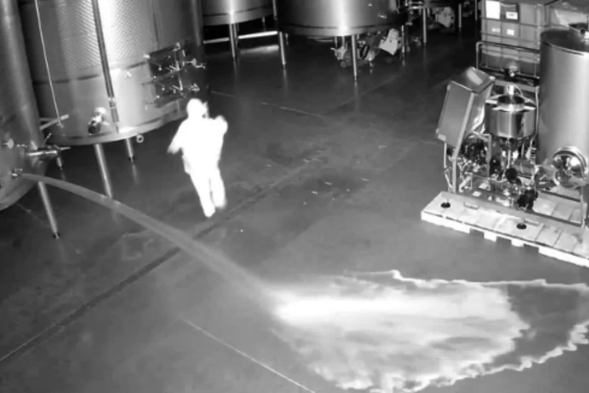 Caso Bodega Cepa 21