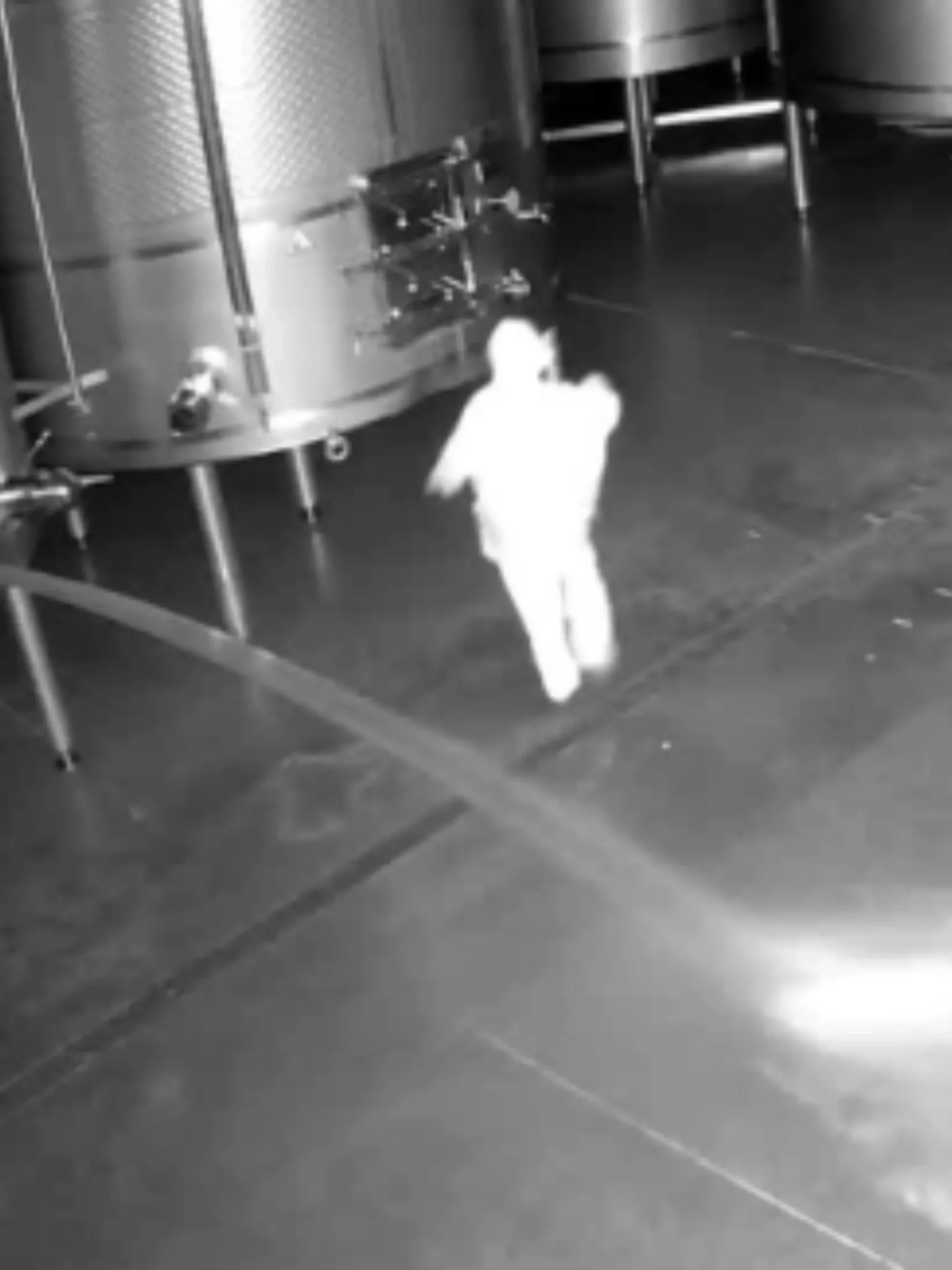 El Caso de la Bodega Cepa 21: Un Análisis Detallado 1 Caso Bodega Cepa 21